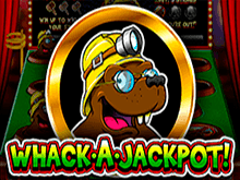 Whack a Jackpot